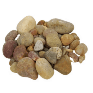 Alabama Golden Sunset