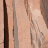 Arizona Peach
