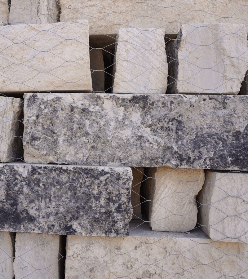 Blue Bonnet 800x900 1