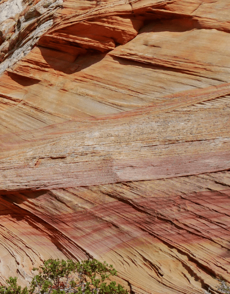 Colorado Red Flagstone3