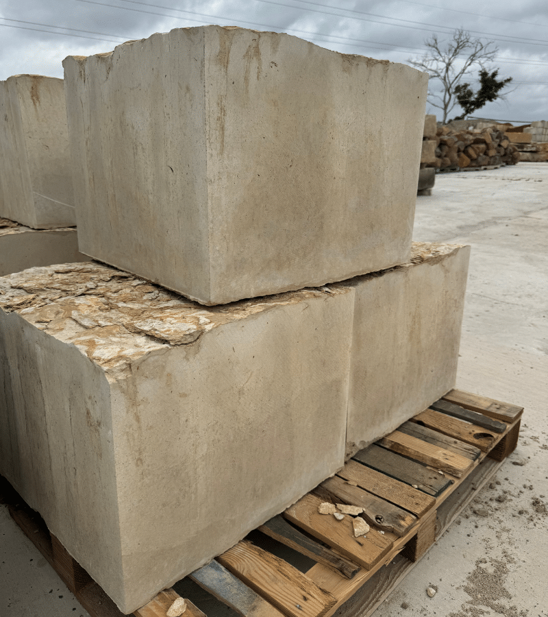 Lueders Buff 800x900 1