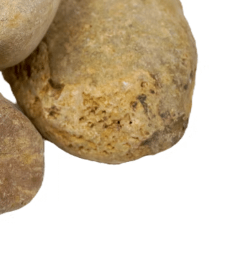 New Project 2026 02 16T225001.175