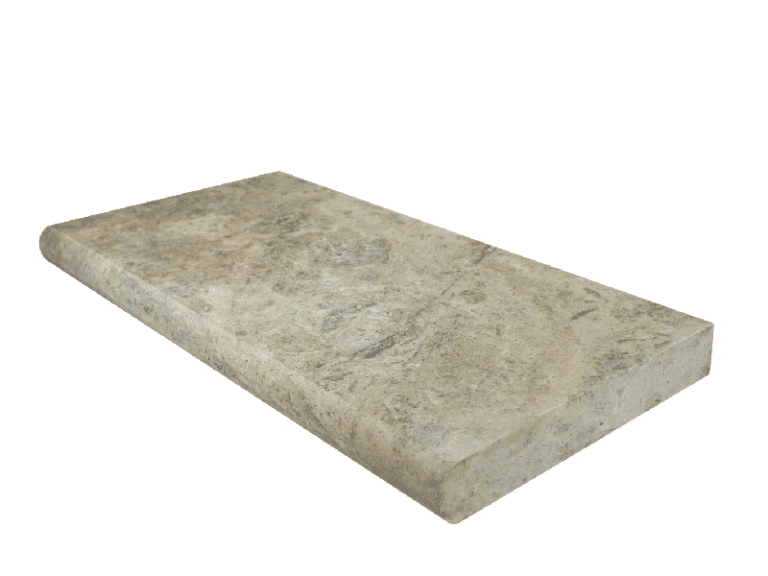 Silver Bullnose