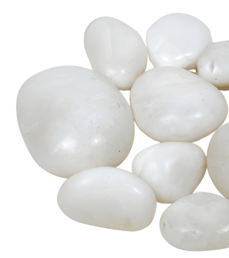 Polished White2 800x900 1