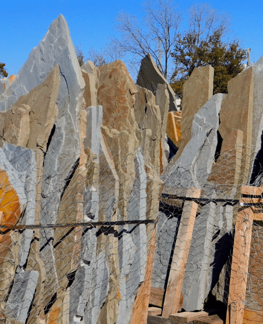 chessir img 517 781 957