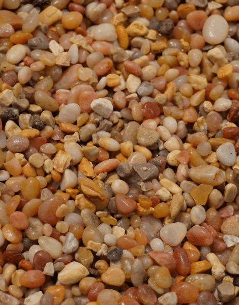 chessir img 517 781 960