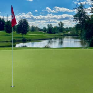 Putting Green Turf 78