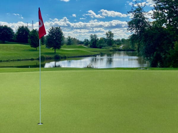 Putting Green Turf 78 with golf hole and flagstick, designed for golf courses and backyard greens in Texas.